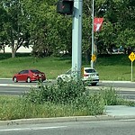 Mowing on the Boulevard 60+ km/h at 5699 Northland Dr NW