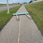Road Signs on Street, Lane, Sidewalk - Repair or Replace at 18 Citadel Estates Li NW