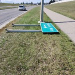 Road Signs on Street, Lane, Sidewalk - Repair or Replace at 22 Citadel Estates Li NW