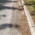 On-Street Bike Lane - Repair at 4222 26 St SE