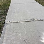 Sidewalk or Curb - Repair at 87 Evansdale Cm NW