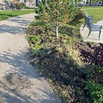 Shrubs, Flowers, Leaves Maintenance in a Park-WAM at 390 Magnolia Sq SE