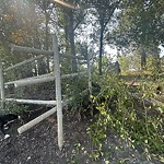 Fence Concern in a Park at 9299 15 St SE