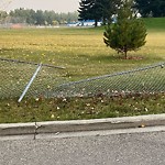 Fence Concern in a Park at 50 Granada Dr SW