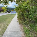 Shrubs, Flowers, Leaves Maintenance in a Park-WAM at 6 Discovery Ridge Vw SW