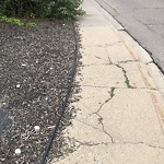 Sidewalk or Curb - Repair at 1333 Abbott Av NE