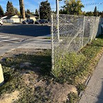 Fence or Structure Concern - City Property at 4624 Varsity Dr NW