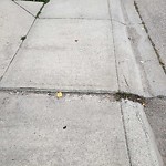Sidewalk or Curb - Repair at 216 Cranfield Pa SE