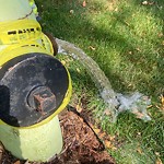 Fire Hydrant Concerns at 2049 Cottonwood Cr SE