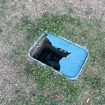 Furniture or Structure Concern in a Park at 195 Auburn Shores Cr SE