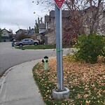 Road Signs on Street, Lane, Sidewalk - Repair or Replace at 3 Autumn Pl SE