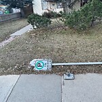 Sign on Street, Lane, Sidewalk - Repair or Replace at 269 21 Av NE