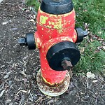 Fire Hydrant Concerns at 4002 16 A St SW
