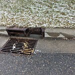 Catch Basin / Storm Drain Concerns at 2068 Country Hills Ci NW
