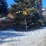Sign on Street, Lane, Sidewalk - Repair or Replace at 1208 48 Av NW