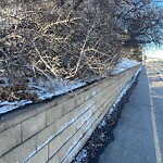 Pedestrian and Cycling Pathway - Repair at 4225 36 St NE