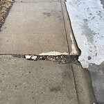 Sidewalk or Curb - Repair at 117 Royal Birch Gd NW