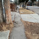 Sidewalk or Curb - Repair at 816 32 Av SW