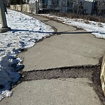 Sidewalk or Curb - Repair at 19 Tuscarora Pt NW