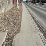 Pedestrian and Cycling Pathway - Repair at 3811 44 St SW