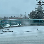 Road Signs on Street, Lane, Sidewalk - Repair or Replace at 3501 Charleswood Dr NW