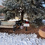 In a Park - Litter Pick Up or Overflowing Park Bins-WAM at 1994 1 St SW