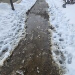 Snow On City-maintained Pathway or Sidewalk at 835 Queensland Dr SE