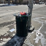 In a Park - Litter Pick Up or Overflowing Park Bins at 422 Roxboro Rd SW