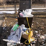 In a Park - Litter Pick Up or Overflowing Park Bins at 230 Memorial Dr NW