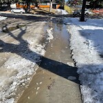 Snow On City-maintained Pathway or Sidewalk-WAM at 4 Rosevale Dr NW