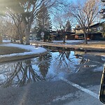 Catch Basin / Storm Drain Concerns at 8203 Churchill Dr SW