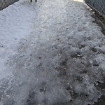 Snow On City-maintained Pathway or Sidewalk-WAM at 98 Royal Birkdale Cr NW