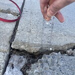 Sidewalk or Curb - Repair at Ci Northwest 102 Hidden Ranch Rd NW