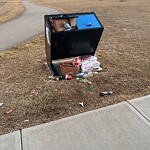In a Park - Litter Pick Up or Overflowing Park Bins-WAM at 846 Cornerstone Wy NE