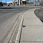 Sign on Street, Lane, Sidewalk - Repair or Replace at 77 Crowfoot Cr NW
