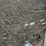 In a Park - Litter Pick Up or Overflowing Park Bins-WAM at 423 1 Av NE