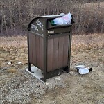 In a Park - Litter Pick Up or Overflowing Park Bins at 256 Piita Ri SW