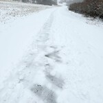 Snow On City-maintained Pathway or Sidewalk at 7251 Country Hills Bv NW