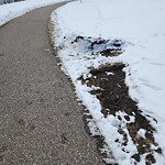 Pedestrian and Cycling Pathway - Repair at 91 Arbour Crest Ri NW