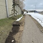 Pedestrian and Cycling Pathway - Repair at 6700 17 Av SW