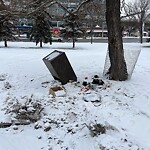 In a Park - Litter Pick Up or Overflowing Park Bins-WAM at 601 Memorial Dr NE