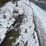 Snow On City-maintained Pathway or Sidewalk at 13 Coulee Pa SW