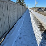 Snow On City-maintained Pathway or Sidewalk at 246 Royal Oak Co NW