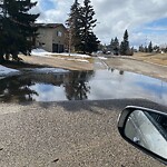 Catch Basin / Storm Drain Concerns at 215 Silvergrove Wy NW