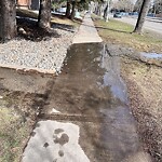 Sidewalk or Curb - Repair at 2323 Oakmoor Dr SW