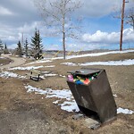 In a Park - Litter Pick Up or Overflowing Park Bins-WAM at 3108 Conrad Dr NW