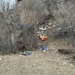 In a Park - Litter Pick Up or Overflowing Park Bins-WAM at 20 Memorial Dr NE