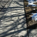 Sidewalk or Curb - Repair at 49 Panorama Hills Pl NW