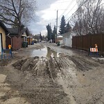 Backlane Maintenance at 10004 Willowview Rd SE