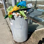 In a Park - Litter Pick Up or Overflowing Park Bins-WAM at 153 Edgevalley Wy NW